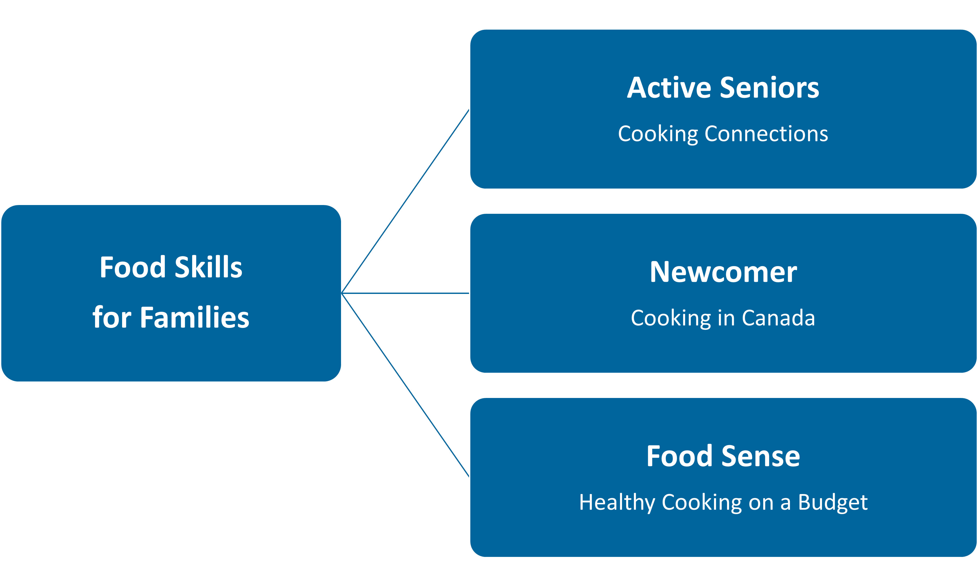 Program Diagram for BCCDC Website.png