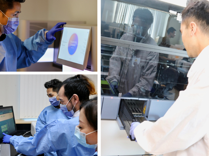 Top: Lab tech touches a screen that says sequencing complete. Bottom: 3 lab staff review results. Right: Loading samples.