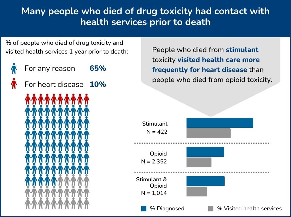 Heather Palis infographic.jpg